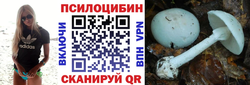 kraken зеркало  Северобайкальск  Псилоцибиновые грибы Psilocybine cubensis  цены  