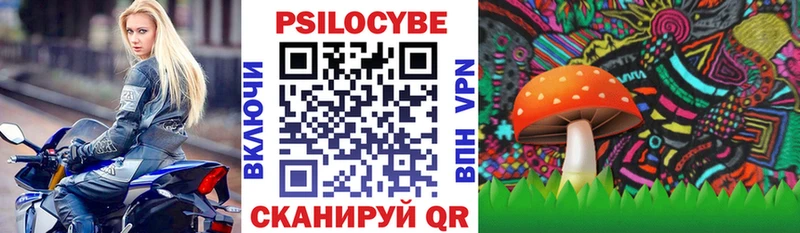 Галлюциногенные грибы Magic Shrooms Северобайкальск